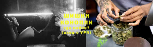 ALPHA PVP Козельск