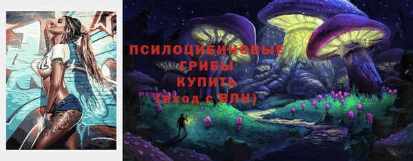 а пвп мука Козловка