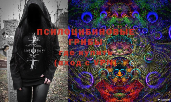 ALPHA PVP Козельск
