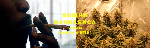 ALPHA PVP Козельск