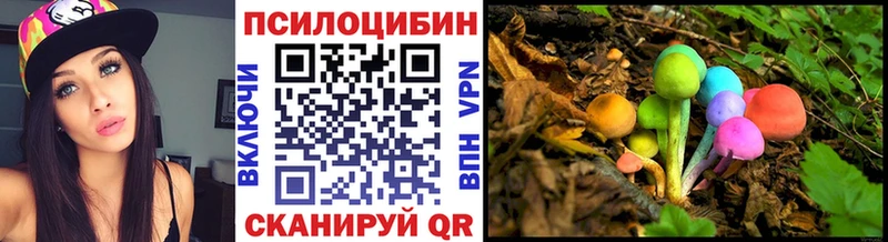 Псилоцибиновые грибы Psilocybine cubensis  Купить закладки  Оха 